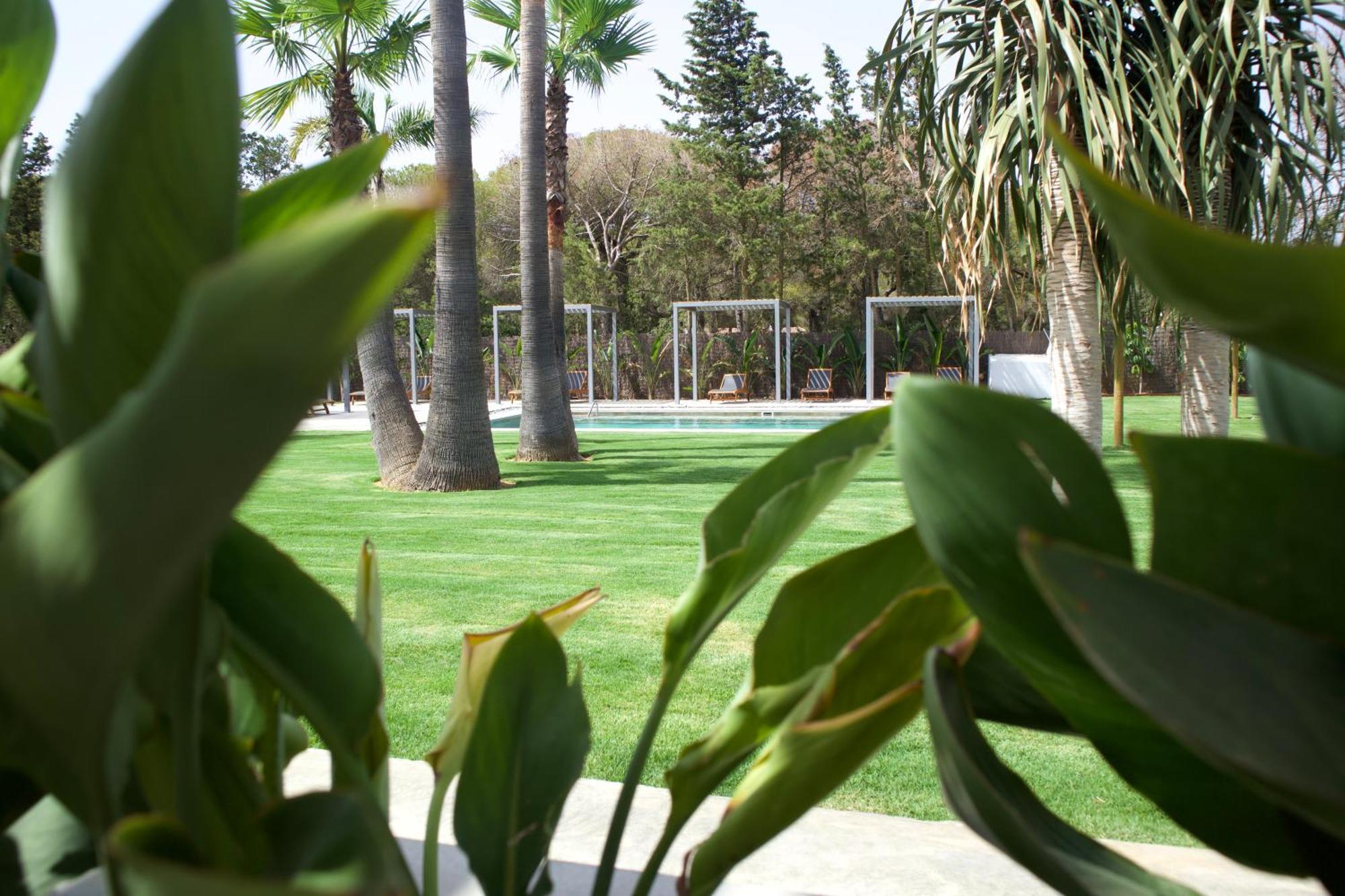 Alojamiento Rural Finca Azucena Suite Conil De La Frontera Buitenkant foto